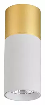 Накладной светильник Favourite Deepak 3073-1C