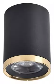 Накладной светильник Favourite Prakash 3086-1C