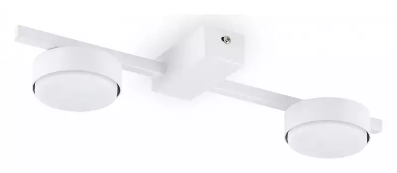 Накладной светильник Freya Tactic FR5363CL-02W