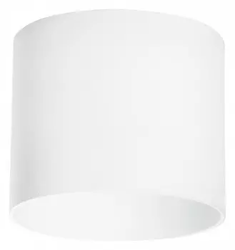 Накладной светильник Lightstar Rullo 213486