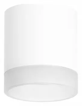 Накладной светильник Lightstar Rullo R348680