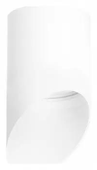 Накладной светильник Lightstar Rullo R348686