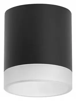 Накладной светильник Lightstar Rullo R348780