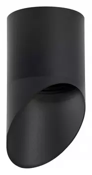 Накладной светильник Lightstar Rullo R348787