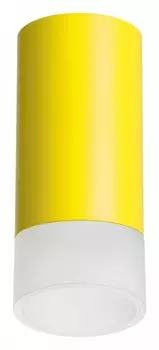 Накладной светильник Lightstar Rullo R43331