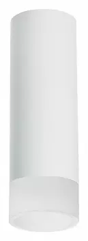 Накладной светильник Lightstar Rullo R48631