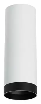 Накладной светильник Lightstar Rullo R4863437