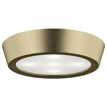 Накладной светильник Lightstar Urbano 214912