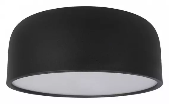 Накладной светильник Loft it Axel 10201/350 Black