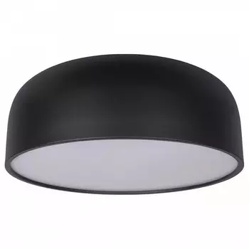 Накладной светильник Loft it Axel 10201/480 Black