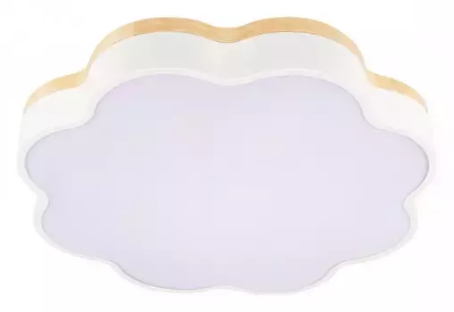 Накладной светильник Loft it Axel 10225/36 White