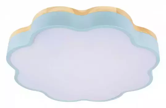 Накладной светильник Loft it Axel 10225/36 Blue