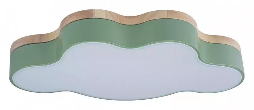 Накладной светильник Loft it Axel 4 10005/30 Green