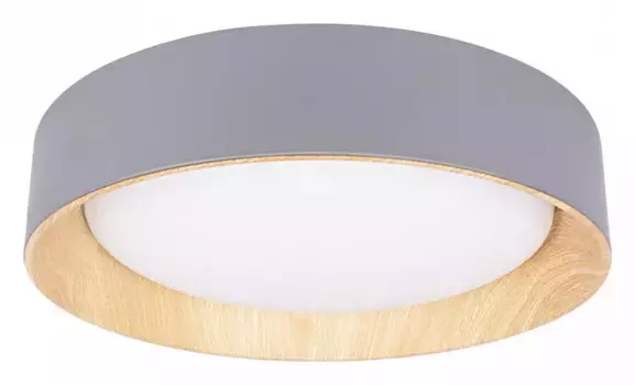 Накладной светильник Loft it Coin 10202 Grey