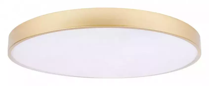 Накладной светильник Loft it Flims 10228/B