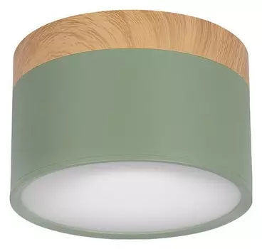 Накладной светильник Loft it Grape 10162 Green