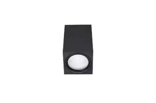 Накладной светильник Lucia Tucci Cambissa LTP-C004-01GU10-B