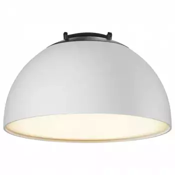 Накладной светильник Maytoni Bowl TR126B-20W3K-W