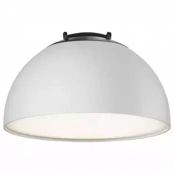 Накладной светильник Maytoni Bowl TR126B-20W4K-W