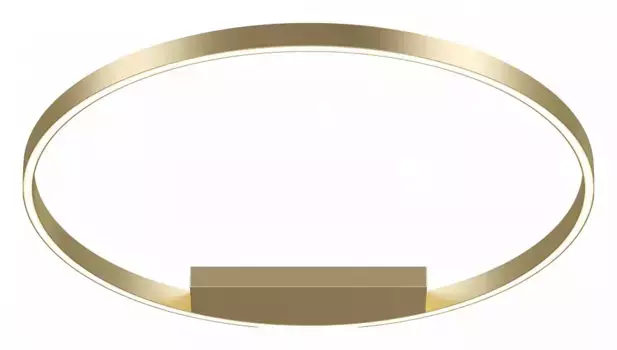 Накладной светильник Maytoni Rim MOD058CL-L50BSK