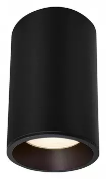 Накладной светильник Maytoni Zoom C029CL-01-S-B