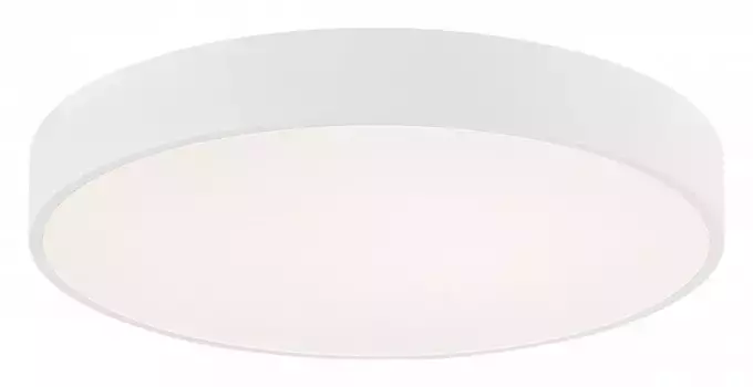 Накладной светильник Milosh Tendence 875 0875CL-80WT