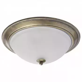 Накладной светильник MW-Light Ариадна 450015503