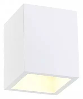 Накладной светильник SIMPLE STORY 2019 2019-1CLW