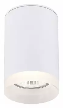 Накладной светильник SIMPLE STORY 2039 2039-1CLW