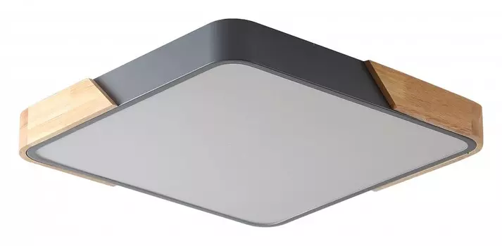 Накладной светильник Zortes ALBERRO ZRS.01288.24