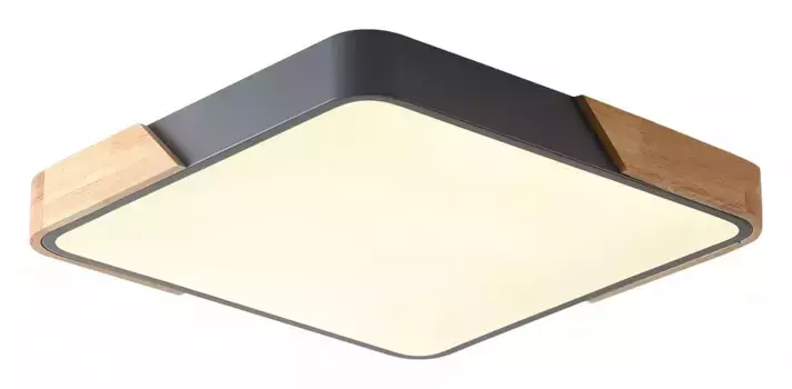 Накладной светильник Zortes ALBERRO ZRS.01288.36