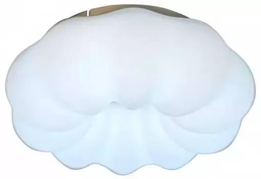 Накладной светильник Zortes SOFT ZRS.1118.2