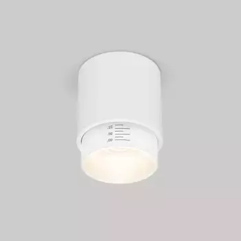 Накладной светодиодный светильник Elektrostandard Cors 25032/LED белый a062385