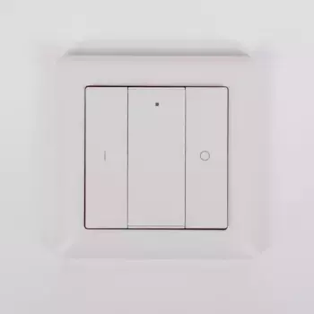 Настенная радиопанель SWG ES-B-W-K2-Z1 013295