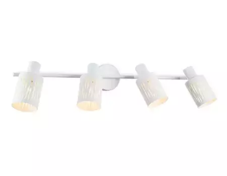 Настенно-потолочный спот Ambrella light TRADITIONAL TR8666