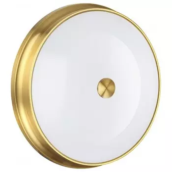 Настенно-потолочный светильник Odeon Light Walli Marsei 4824/4C