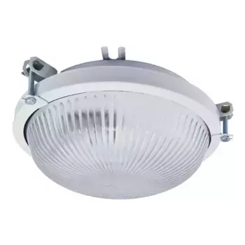 Настенно-потолочный светильник TDM Electric Рыбий глаз НПП 03-100-020.01 SQ0311-0006