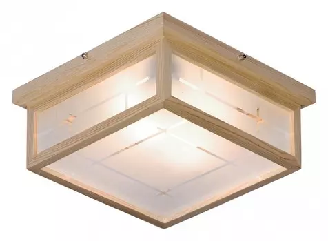 Настенно-потолочный светильник Velante 548-717-02