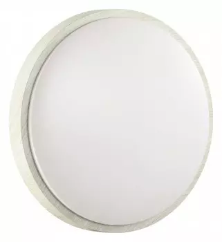 Настенно-потолочный светодиодный светильник Sonex Losta 7628/AL