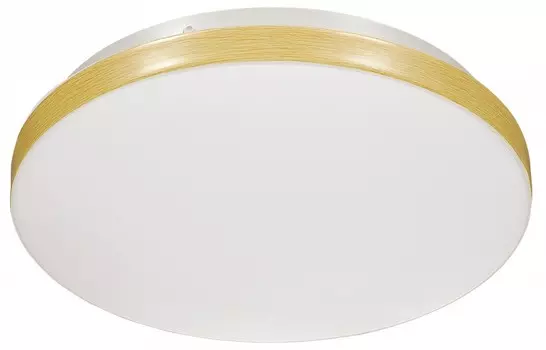 Настенно-потолочный светодиодный светильник Sonex Mini Smalli 3066/CL