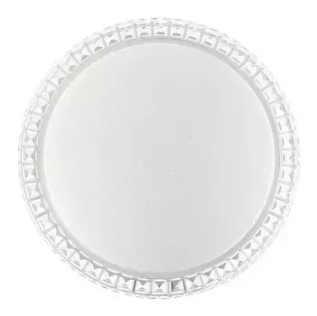 Настенно-потолочный светодиодный светильник Sonex Pale Brisa 2036/DL