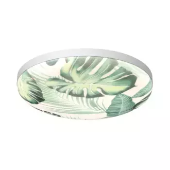 Настенно-потолочный светодиодный светильник Sonex Pale Flori 7748/EL