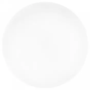 Настенно-потолочный светодиодный светильник Sonex Pale Vale 3040/DL