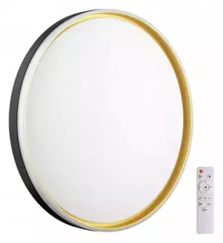 Настенно-потолочный светодиодный светильник Sonex Savi 7619/DL