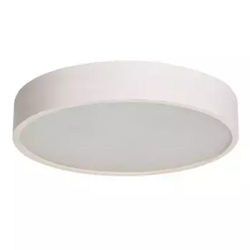 Настенный потолочный светильник Kanlux JASMIN 470-W 23125