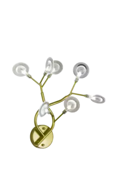 Настенный светильник AM Group AM7317-AP7