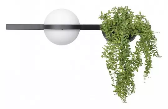 Настенный светильник LOFT IT Jardin 10121W/A