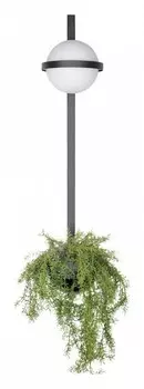 Настенный светильник LOFT IT Jardin 10121W/B