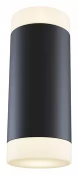 Настенный светильник Maytoni Dafne C027WL-L10B