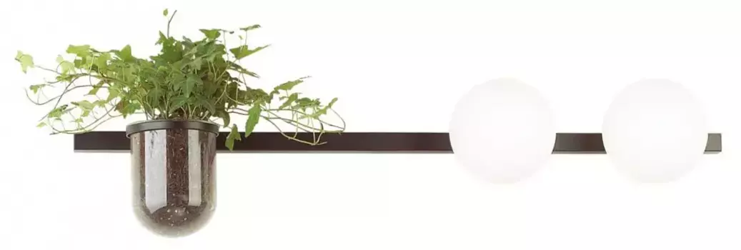 Настенный светильник Odeon Light Walli Flower 4681/2W